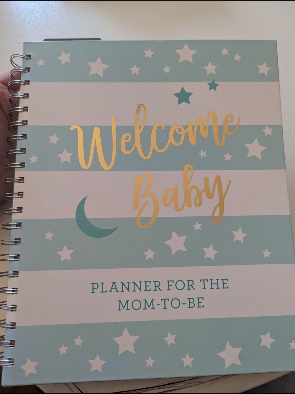 Prenatal Appointments Home Office Planner - Multi-Color Planner And Baby Book